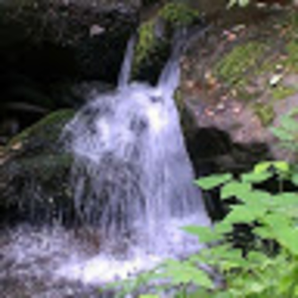 Meet your Posher, Captain